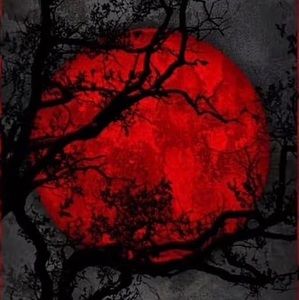 Meet your Posher, Jaime